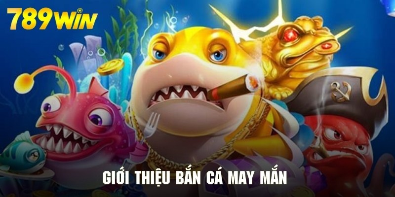 Giới thiệu săn cá may mắn với thông tin cơ bản