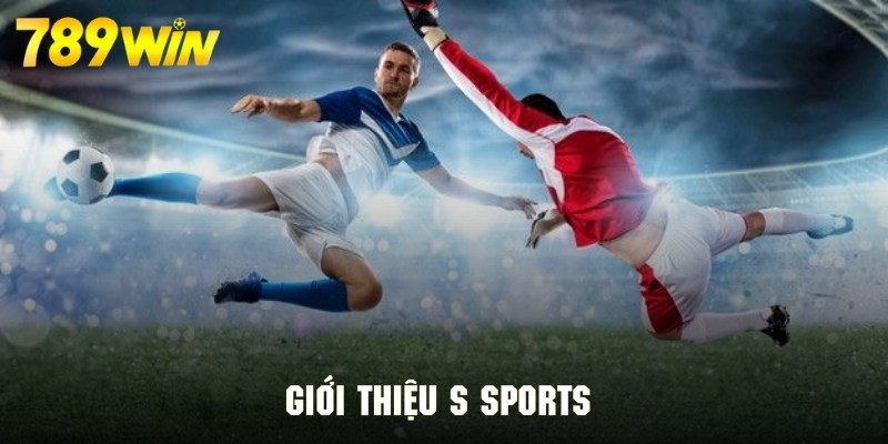 Tổng quan S Sports với các thông tin giới thiệu cơ bản