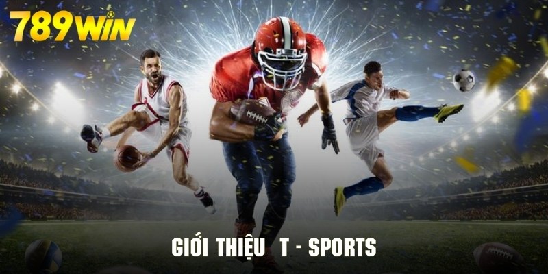 Tổng quan điểm đến giải trí thể thao cực hấp dẫn T - Sports Tổng quan điểm đến giải trí thể thao cực hấp dẫn T - Sports